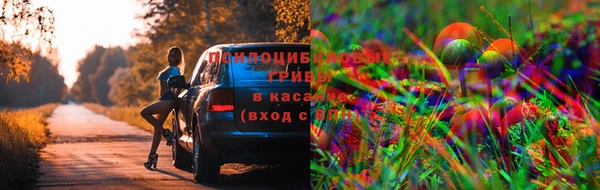 прущая мука Горно-Алтайск